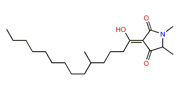 Melophlin S